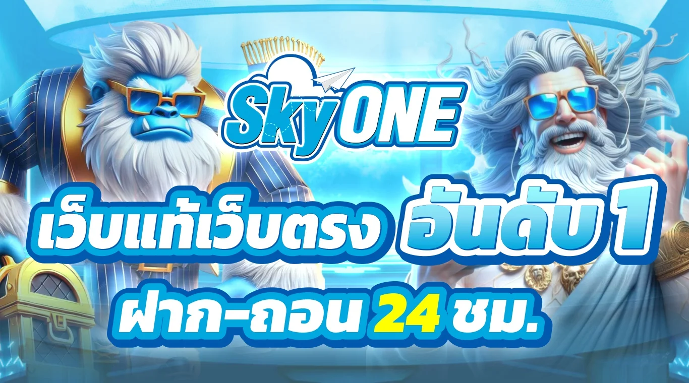 โปรโมชั่น skyone